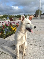 HIJO DE LA LUNA